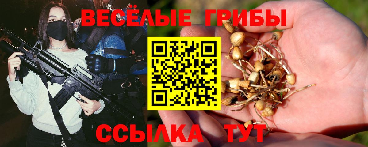 Псилоцибиновые грибы ЛСД Топки